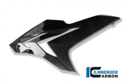 Carenado lateral derecho carbono lateral - BMW S 1000 R