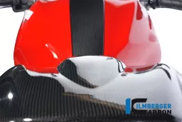 Cubierta de asiento de carbono - Ducati 696/1100 Monster