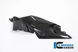Panel lateral debajo del tanque izquierdo Carbón lateral - BMW R 1200 R (LC) de 2015