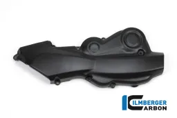 Cubiertas de la correa de leva Carbono mate horizontal - Ducati Monster 1200/1200 S