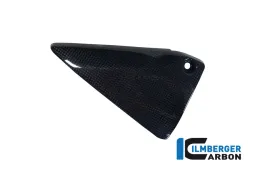 Cubierta de marco triangular izquierda carbono - BMW R 1200 GS (LC) desde 2013 / R 1200 R (LC) desde 2015 / R 1200