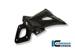 Soporte de matrícula Carbono - BMW S 1000 R (2014-ahora) / S 1000 RR Street (2010-ahora) / HP 4 (2012-ahora)
