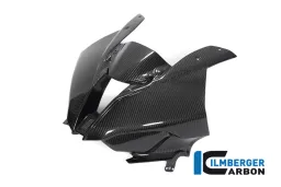 Carenado delantero (una pieza) Carbono - BMW M 1000 RR Racing (a partir de 2021)