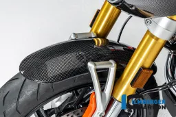 Guardabarros delantero de carbono brillante BMW R12 NineT 2024