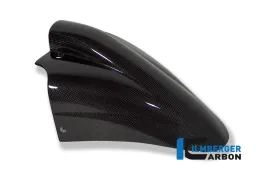 Guardabarros delantero carbono - BMW R 1150 R