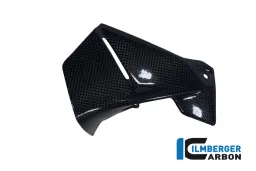 Flap del viento en la cabina de mandos Carbon - BMW R 1200 GS (LC de 2013)