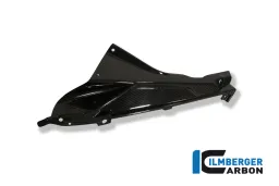 Carenado lateral del portaetiquetas superior (izquierda) Carbono - BMW S 1000 RR Straße (2010-2014) / HP 4