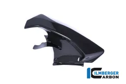 Panel lateral debajo del tanque izquierdo brillo Panigale V4 / V4 S