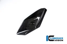Panel lateral del carenado delantero izquierdo Carbono - BMW S 1000 R