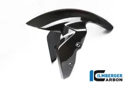 Guardabarros delantero carbono - BMW R Nine T