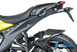 Cubierta del bastidor izquierda de carbono brillante BMW R 1300 R