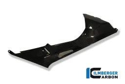 Panel lateral del tanque de carbono (derecha) - BMW S 1000 RR Racing