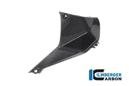 Cubierta cerca del Instrumento lado derecho BMW R 1250 RS