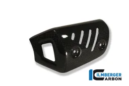 Silenciador delantero protector de carbono - BMW F 800 R (2009-2014)