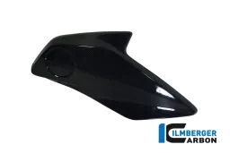 Cubierta del radiador (derecha) Carbono - BMW R 1200 GS (LC desde 2013)