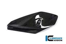 Panel lateral del carenado delantero derecho lado carbono - BMW S 1000 R