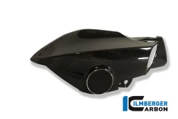 Airtube derecha Carbono - BMW K 1200 R (2005-2008)