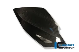 Panel lateral carenado izquierdo carbono - BMW K 1300 S