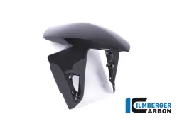 Guardabarros delantero brillo Panigale V4 / V4 S