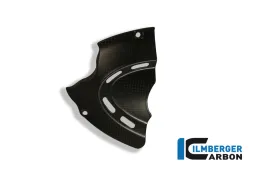 Cubierta de rueda dentada delantera carbono - Ducati Diavel