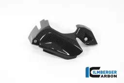 Cubierta de rueda dentada delantera brillante Ducati Panigale 1299 (desde 2015)