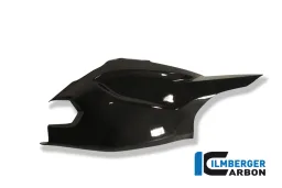 Cubierta de brazo oscilante / Malla en la parte superior de carbono - Ducati Multistrada 1200