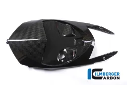Bandeja trasera de carbono - BMW S 1000 R / S 1000 RR Street (desde 2015)
