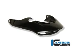 Cubierta de luz trasera Carbono - Triumph Speed Triple (2011-ahora)