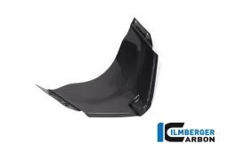 Panel debajo del carenado delantero Panigale V4 Racing