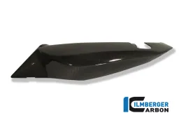 Panel lateral inferior izquierdo Carbono lateral - BMW F 800 R (2009-2014) / S (2006-ahora) / ST (2006-ahora) / GT