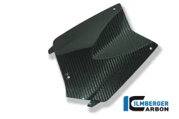 Tapa de batería Carbono - BMW K 1200 R (2005-2008) / K 1200 R Sport (2007-2011) / K 1300 R (2008-ahora)