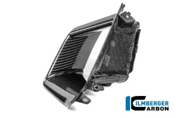 Guardabarros interior izquierdo de carbono brillante S 1000 RR Street (a partir de 2025)