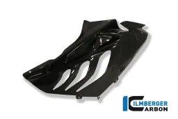 Panel lateral de la carrera de carenado (derecha) Carbono - BMW S 1000 RR Stocksport / Racing Parts