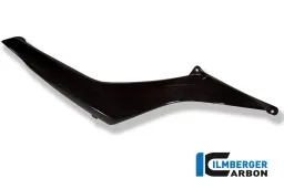 Cubierta de inyección (par) Carbono - BMW R 1200 R (2007-2014)