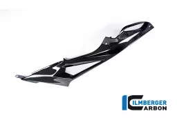 Panel lateral del tanque derecho Carbono lateral - BMW S 1000 R / S 1000 RR Steet (desde 2015)