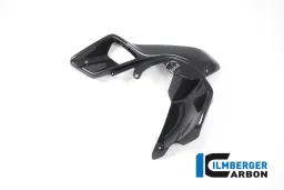 Airtube izquierda (cubierta superior del refrigerador de agua) Carbono - BMW R 1200 GS (LC desde 2013)