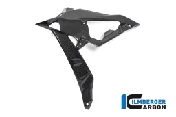 Tapa del radiador / lado izquierdo del porta placa - BMW S 1000 R (ab 2017)