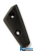Flap de viento en guardabarros delantero (izquierda) Carbono - Triumph Speed Triple (2011-ahora)