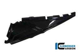 Cubierta del bastidor trasero izquierdo de carbono - BMW R 1200 GS (LC desde 2013)