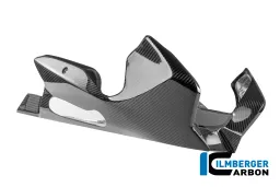 Spoiler de motor de carbono brillante BMW R 1300 R