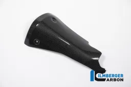 Silenciador delantero Protector Carbon - BMW R 1200 R (LC) de 2015 / BMW R 1200 RS (LC) de 2015