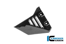 Cubierta triangular delantera para bastidor trasero izquierdo, carbono brillante, R 1300 GS Adventure