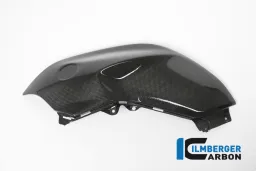 Panel del tanque izquierdo Carbono - BMW R 1200 R (LC) de 2015