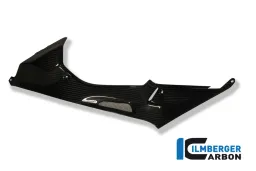 Panel lateral del tanque (izquierda) Carbono - BMW S 1000 RR Stocksport / Racing (2010-2014)