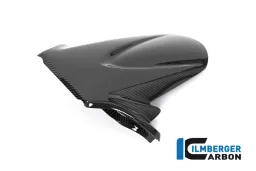 Guardabarros trasero de carbono - Suzuki GSX R 1000 '17