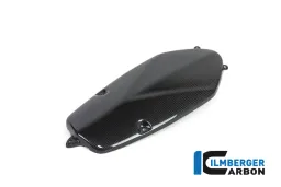 Tapa del alternador Carbono - HP 2 Megamoto (2008-2013) / HP 2 Sport (2008-2012) / R 1200 S (2006-2008)