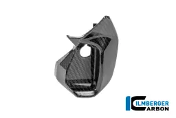 Cubierta del habitáculo derecho de carbono brillante BMW R 1300 RS