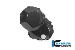 Protector del motor lado derecho brillante