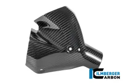 Protector térmico de escape delantero de carbono brillante BMW R 1300 R