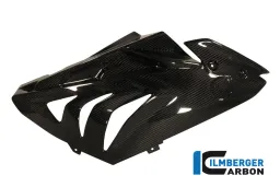Panel lateral de la carrera de carenado (derecha) Carbono - BMW S 1000 RR Stocksport / Racing (2012-2014)